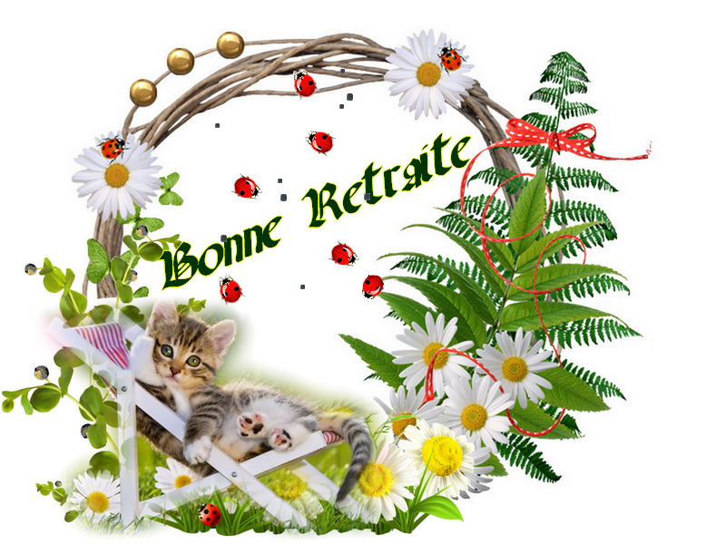 closter chat sites Wwwhedgehogbookscom/chat/indexhtml addition sites: 340 homans avenue, closter, nj 07624 tel:(201) 768-3860. closter chat sites Wwwhedgehogbookscom/chat/indexhtml addition sites: 340 homans avenue, closter, nj 07624 tel:(201) 768-3860.