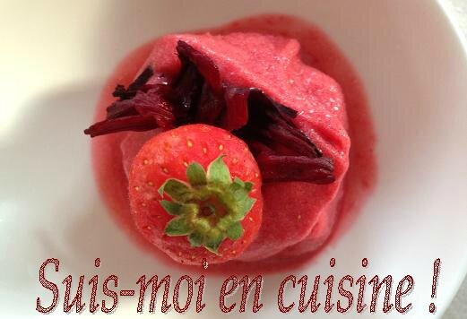 Glace Hibiscus Fraise 21