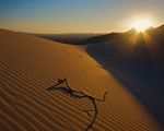 Mojave-Desert
