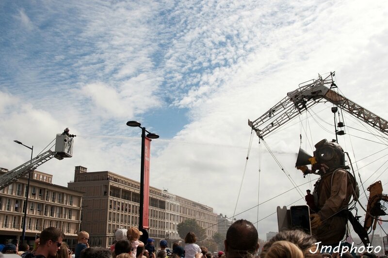 IMG_8865p