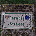 _IGP2946 (2)