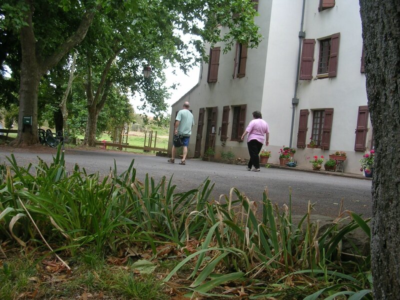 DSCN5437-1