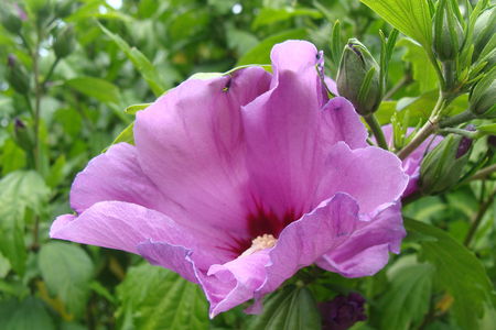 DSC06319