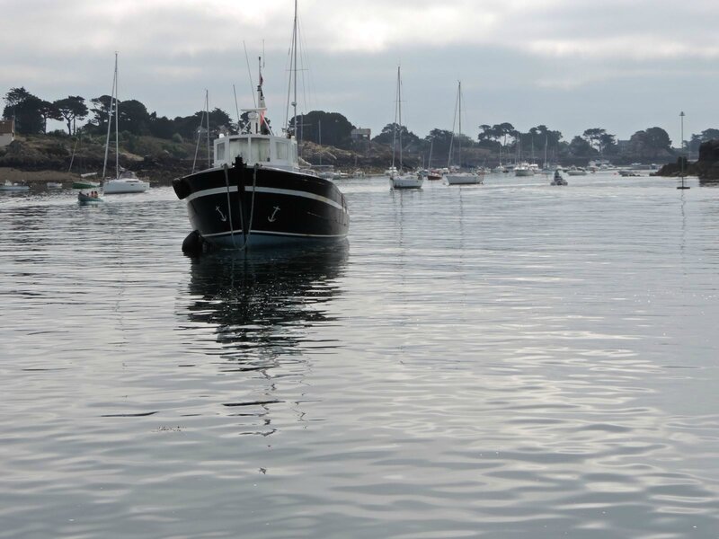 _copie-0_DSCN9084