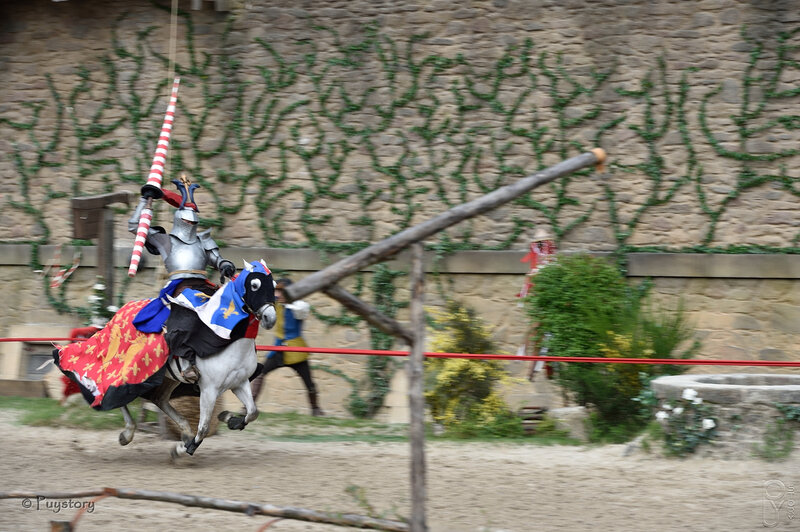 PUY_6936