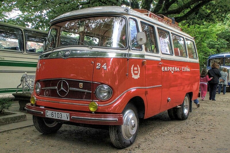 Mercedes-Benz_O_319_Minibus