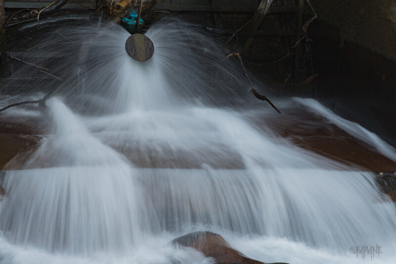 26032019-_FAR9360