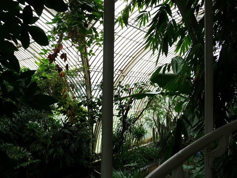 Palm House à Kew