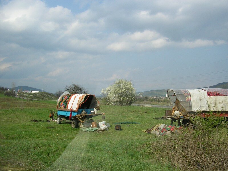 Wagon in field
