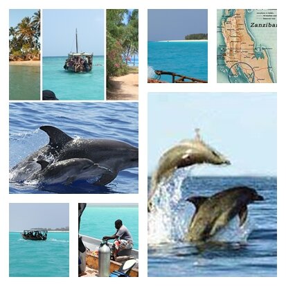 dolphine_bay_lodges_kim