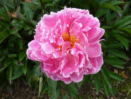 P1100557