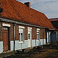IMGP4498