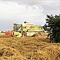 IMG_4228