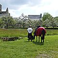 balade à cheval médiévale - Abbaye de Hambye (95)
