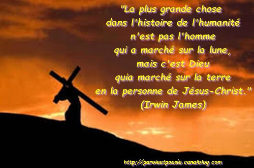 La Plus Grande Chose Pour L Humanite Irwin James Citation Vois Et Viens