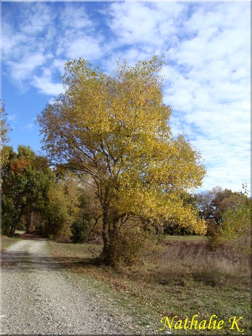 _c__LNK_le_12_novembre_2010_046_copie