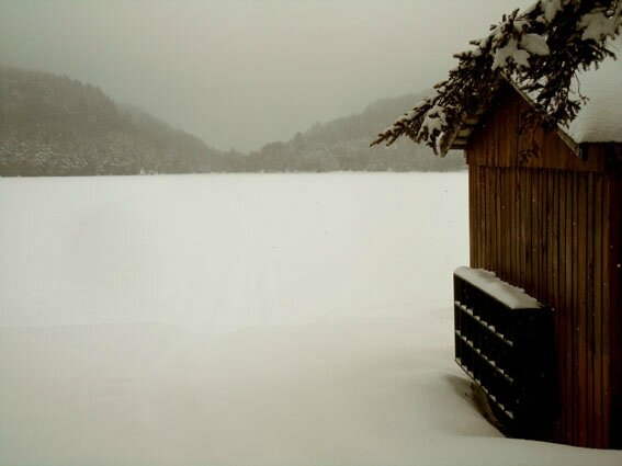 lac gelé2 72dpi