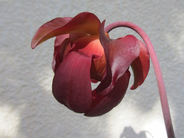 0 9