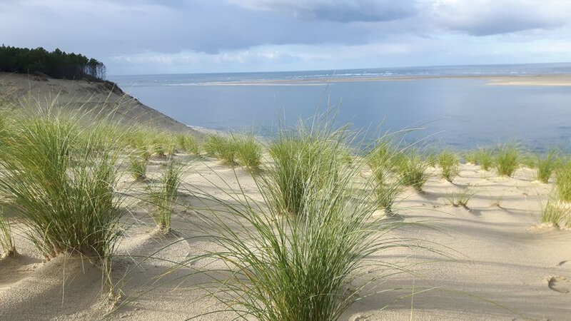 870x489_dune_1