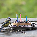 Le gâteau d'anniversaire !