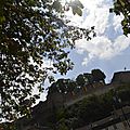 _DSC0060