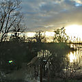 IMG_5464 - Copie