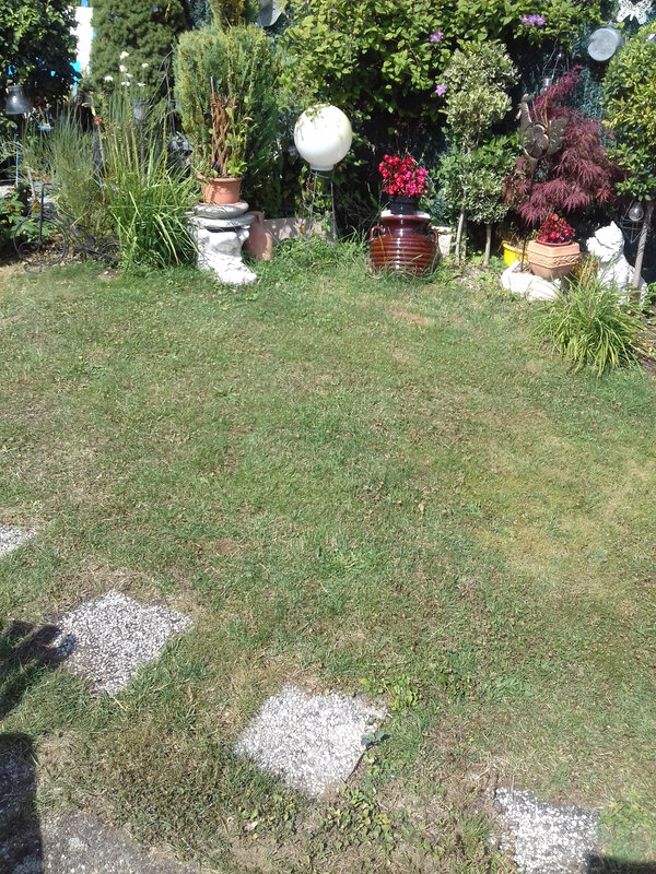 20190720_113809