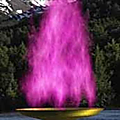 Invocations de la flamme violette - 14