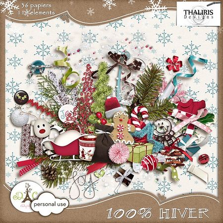 3___100__hiver