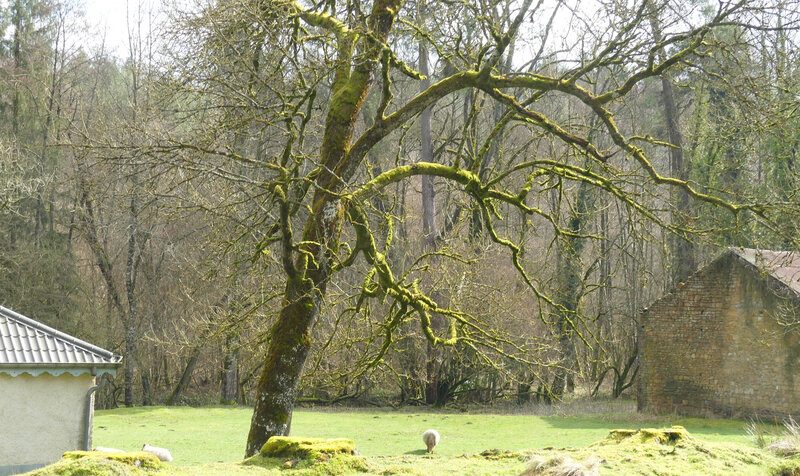 P1000335