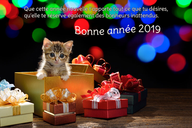 texte-de-voeux-2