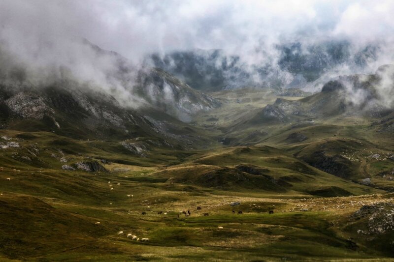 w_Brume_IMG_7676
