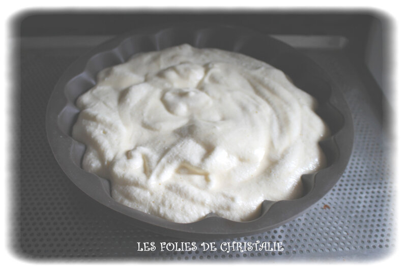 Biscuit de Savoie 8