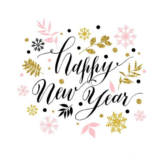 bonne année 3