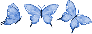 gros papillons bleu
