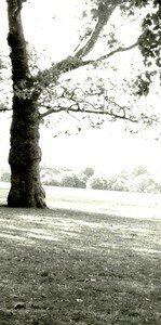 DSCF2063ab