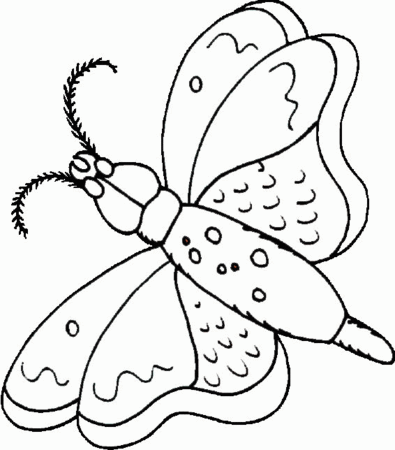 animaux014