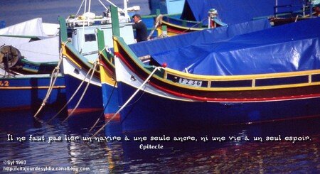 mlt931