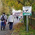 IMGP4471