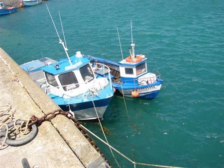 DSC04140__Small_