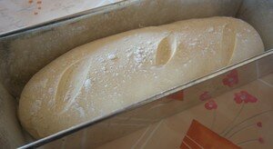 pain_de_mie