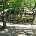 IMG_0940