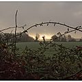 Laissons entrer le soleil ....