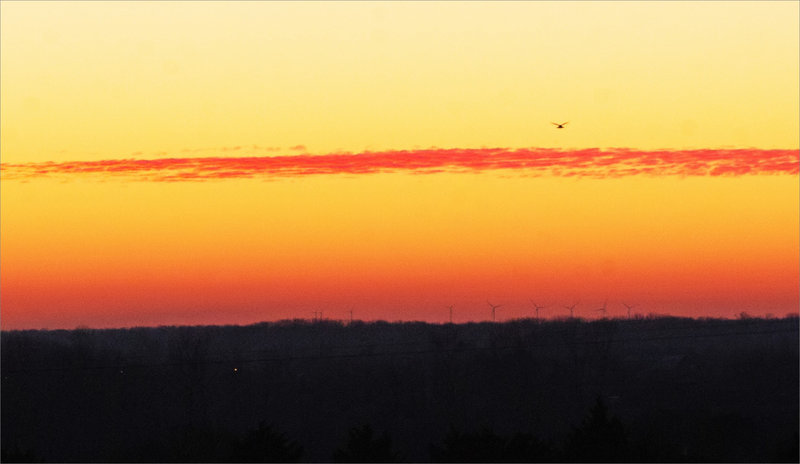 coucher soleil plaine 131221 5 oiseau crécerelle