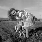1945_meadow_sitting_sheep_by_dd_mmad132