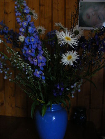 Les_framboises_chez_Monique_le_15_juillet_2009_035