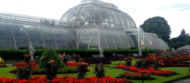 Christmas At Kew Kew Royal Botanic Gardens Kew Kew Christmas At Kew Kew Royal Botanic Gardens Kew Kew