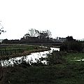 IMGP1353