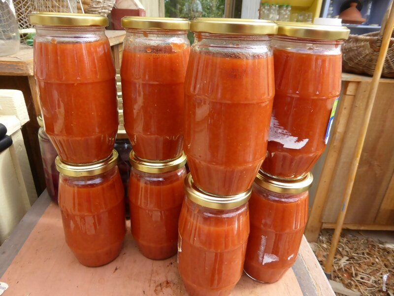 4-tomates, sauce tomate (1)