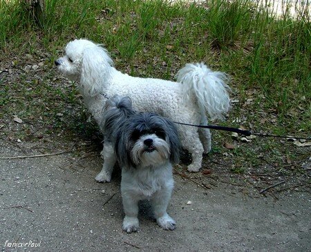 Photo_031